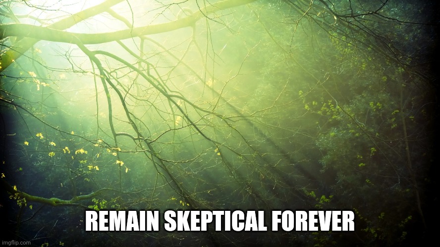 Nature | REMAIN SKEPTICAL FOREVER | image tagged in nature | made w/ Imgflip meme maker