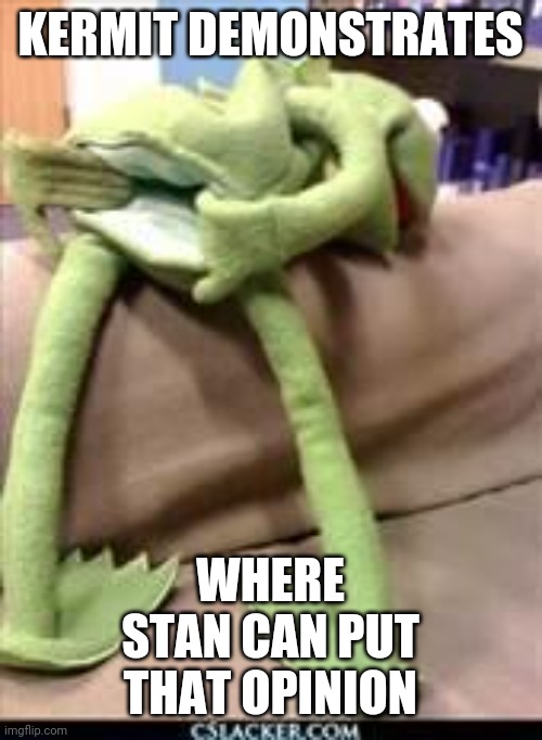 Gay kermit | KERMIT DEMONSTRATES WHERE STAN CAN PUT THAT OPINION | image tagged in gay kermit | made w/ Imgflip meme maker