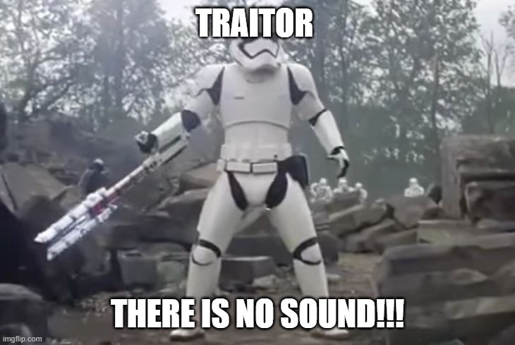 TRAITOR | TRAITOR THERE IS NO SOUND!!! | image tagged in traitor | made w/ Imgflip meme maker