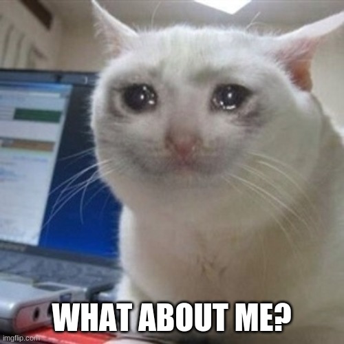 Crying cat | WHAT ABOUT ME? | image tagged in crying cat | made w/ Imgflip meme maker