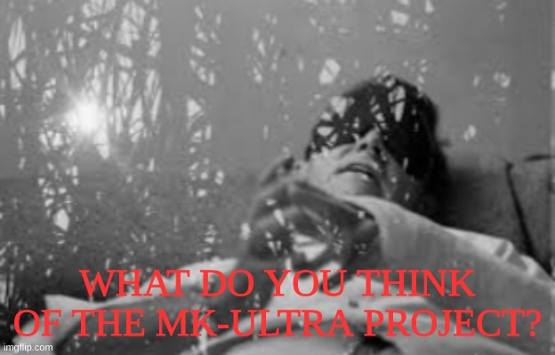 Goodness, was that an awful thing that happened... | WHAT DO YOU THINK OF THE MK-ULTRA PROJECT? | image tagged in mk,experiment,us government,horror,horrible,jesus christ | made w/ Imgflip meme maker