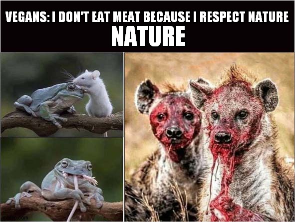 VEGANS: I DON'T EAT MEAT BECAUSE I RESPECT NATURE NATURE | made w/ Imgflip meme maker