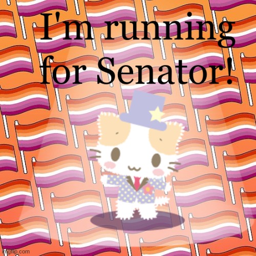 Congress time! Is it too early? | image tagged in cattigan 2020,congress | made w/ Imgflip meme maker