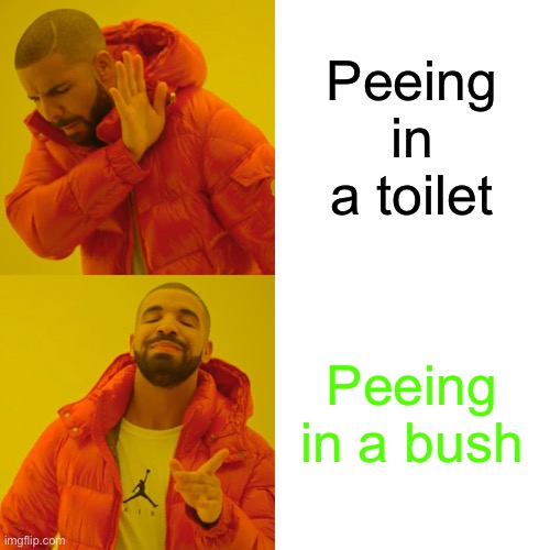 Drake Hotline Bling | Peeing in a toilet; Peeing in a bush | image tagged in memes,drake hotline bling | made w/ Imgflip meme maker