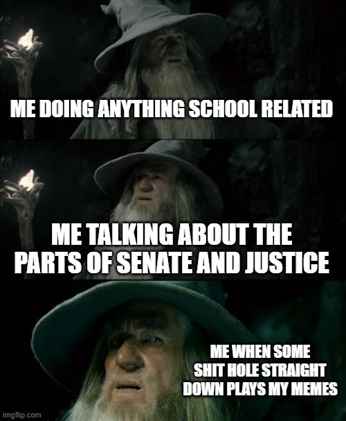Confused Gandalf Meme | ME DOING ANYTHING SCHOOL RELATED; ME TALKING ABOUT THE PARTS OF SENATE AND JUSTICE; ME WHEN SOME SHIT HOLE STRAIGHT DOWN PLAYS MY MEMES | image tagged in memes,confused gandalf | made w/ Imgflip meme maker