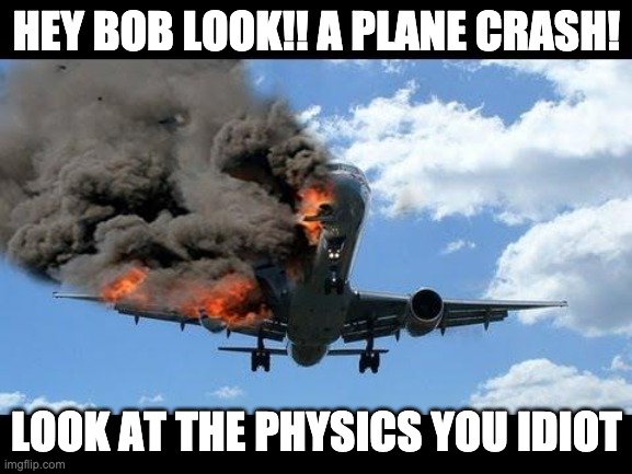 You idiot |  HEY BOB LOOK!! A PLANE CRASH! LOOK AT THE PHYSICS YOU IDIOT | image tagged in plane crash | made w/ Imgflip meme maker