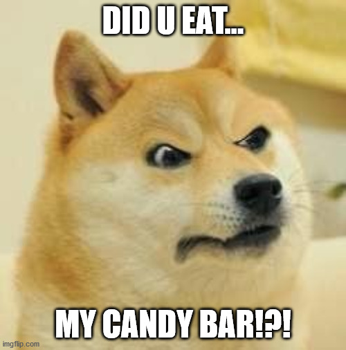 doges can't have candy tho... | DID U EAT... MY CANDY BAR!?! | image tagged in angry doge | made w/ Imgflip meme maker