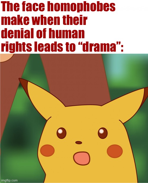 Are we causing “Drrrrraaaaaaaama” here? Well yes, but actually no | The face homophobes make when their denial of human rights leads to “drama”: | image tagged in surprised pikachu high quality,drama,homophobe,homophobia,homophobic,surprised pikachu | made w/ Imgflip meme maker