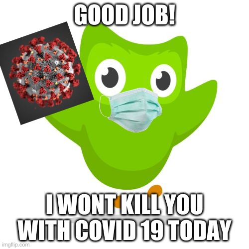 things duolingo teaches you | GOOD JOB! I WONT KILL YOU WITH COVID 19 TODAY | image tagged in things duolingo teaches you | made w/ Imgflip meme maker