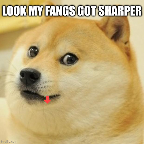 bored in history lol | LOOK MY FANGS GOT SHARPER | image tagged in memes,doge | made w/ Imgflip meme maker