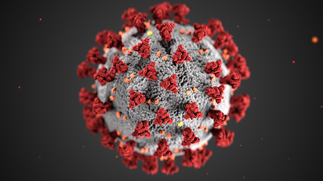 Coronavirus Blank Meme Template