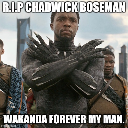 Wakanda Forever | R.I.P CHADWICK BOSEMAN; WAKANDA FOREVER MY MAN. | image tagged in wakanda forever | made w/ Imgflip meme maker