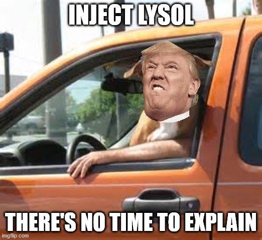 No time to explain | INJECT LYSOL; THERE'S NO TIME TO EXPLAIN | image tagged in no time to explain | made w/ Imgflip meme maker