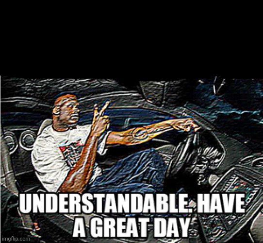 UNDERSTANDABLE, HAVE A GREAT DAY | image tagged in understandable have a great day | made w/ Imgflip meme maker