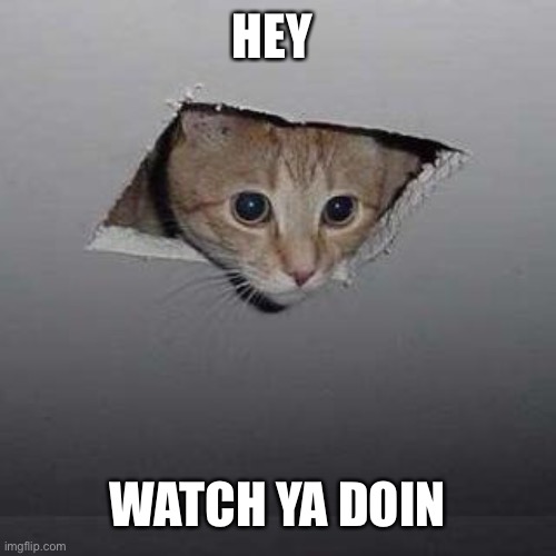 Ceiling Cat | HEY; WATCH YA DOIN | image tagged in memes,ceiling cat | made w/ Imgflip meme maker