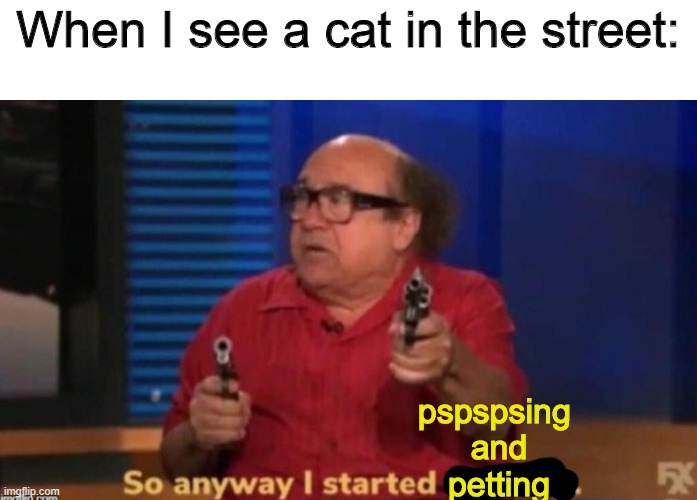 So anyway I started blasting | When I see a cat in the street:; pspspsing 
and
petting | image tagged in so anyway i started blasting,memes,cats | made w/ Imgflip meme maker