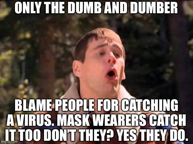 Dummies blame sick people for getting sick | ONLY THE DUMB AND DUMBER; BLAME PEOPLE FOR CATCHING A VIRUS. MASK WEARERS CATCH IT TOO DON’T THEY? YES THEY DO. | image tagged in sick,dumb,dumb and dumber,angry sjw,nevertrump | made w/ Imgflip meme maker
