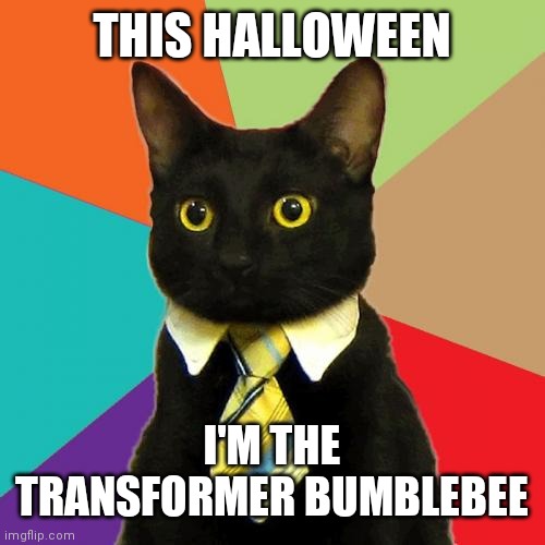 Business Cat Meme | THIS HALLOWEEN; I'M THE TRANSFORMER BUMBLEBEE | image tagged in memes,business cat | made w/ Imgflip meme maker