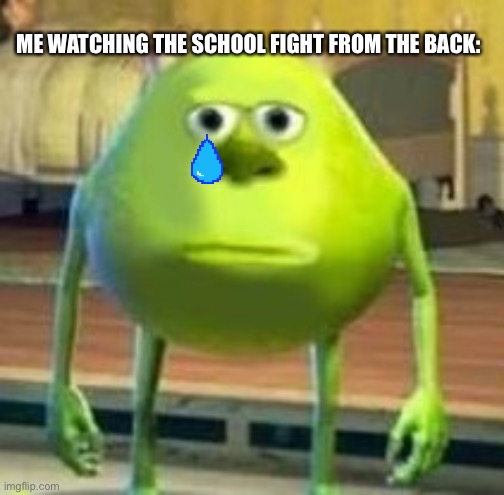 School fight | ME WATCHING THE SCHOOL FIGHT FROM THE BACK: | image tagged in mike with sully's face,school,fight,funny memes | made w/ Imgflip meme maker