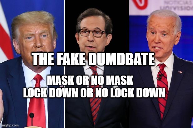 trump biden debate | THE FAKE DUMDBATE; MASK OR NO MASK      LOCK DOWN OR NO LOCK DOWN | image tagged in trump biden debate | made w/ Imgflip meme maker