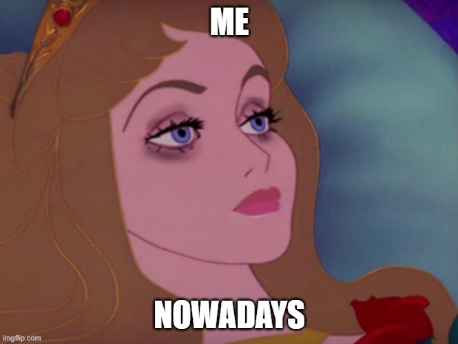 Sleeping beauty | ME; NOWADAYS | image tagged in sleeping beauty | made w/ Imgflip meme maker