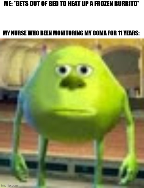 Welp I'm up now | ME: *GETS OUT OF BED TO HEAT UP A FROZEN BURRITO*; MY NURSE WHO BEEN MONITORING MY COMA FOR 11 YEARS: | image tagged in sully wazowski,gotanypain | made w/ Imgflip meme maker