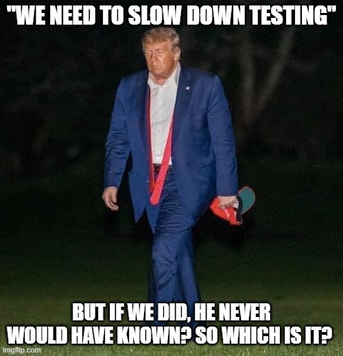 Sad Trump | "WE NEED TO SLOW DOWN TESTING"; BUT IF WE DID, HE NEVER WOULD HAVE KNOWN? SO WHICH IS IT? | image tagged in sad trump | made w/ Imgflip meme maker