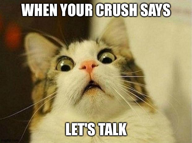 Scared Cat | WHEN YOUR CRUSH SAYS; LET'S TALK | image tagged in memes,scared cat | made w/ Imgflip meme maker