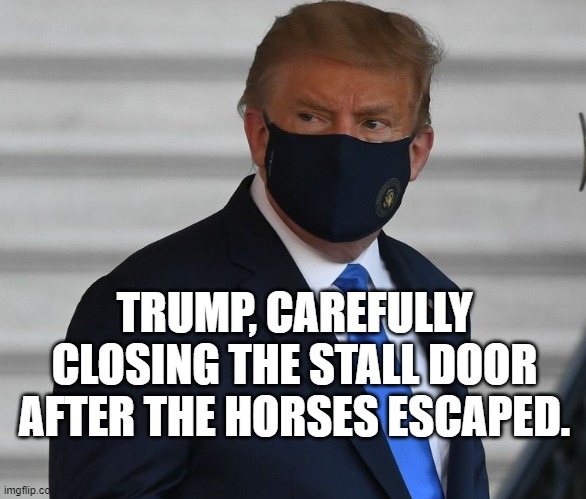 Trump closing the stall door after | TRUMP, CAREFULLY CLOSING THE STALL DOOR AFTER THE HORSES ESCAPED. | image tagged in trump wearing a mask now | made w/ Imgflip meme maker