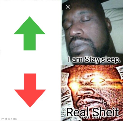 Upvote orgin | I am Stay sleep. Real Sheit | image tagged in memes,sleeping shaq | made w/ Imgflip meme maker