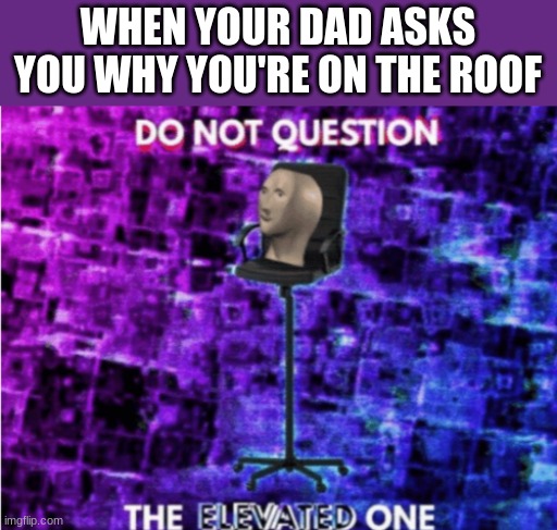 true story | WHEN YOUR DAD ASKS YOU WHY YOU'RE ON THE ROOF | image tagged in do not question the elevated one,roof,meme man,memes,funny | made w/ Imgflip meme maker