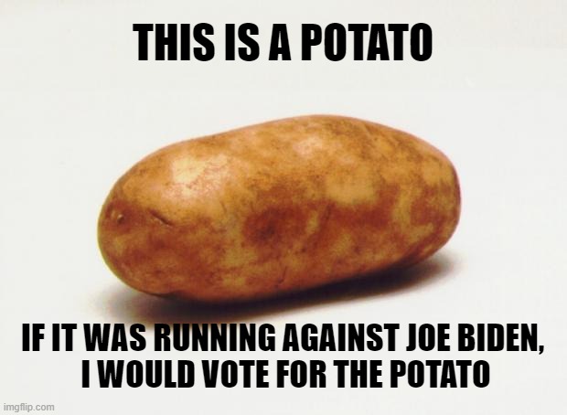The potato won't sell out the US to the Chinese Communists. | THIS IS A POTATO; IF IT WAS RUNNING AGAINST JOE BIDEN, 
I WOULD VOTE FOR THE POTATO | image tagged in biden,creepy joe biden,democrats | made w/ Imgflip meme maker