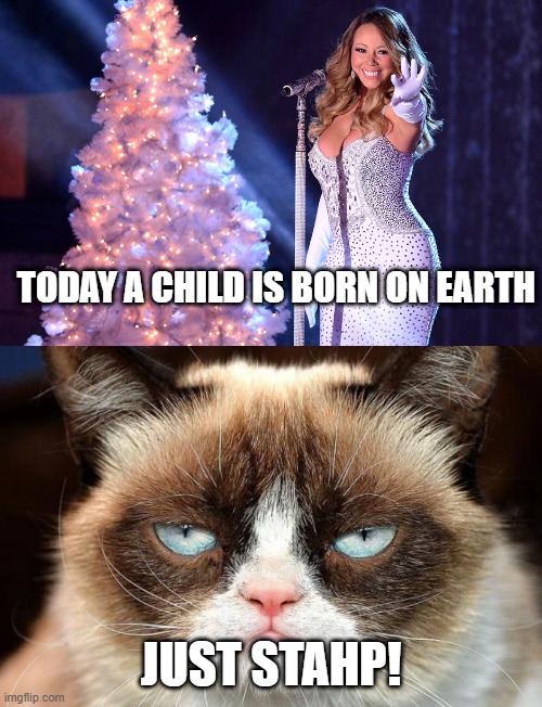 TODAY A CHILD IS BORN ON EARTH; JUST STAHP! | image tagged in memes,grumpy cat not amused,mariah carey christmas,cats,christmas,funny | made w/ Imgflip meme maker
