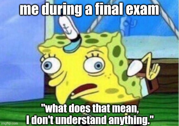 Mocking Spongebob | me during a final exam; "what does that mean, I don't understand anything." | image tagged in memes,mocking spongebob | made w/ Imgflip meme maker