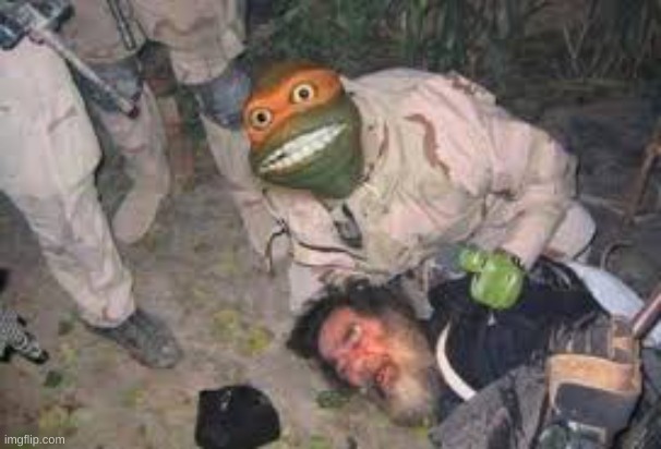 ninja turtle assault | image tagged in ninja turtle assault | made w/ Imgflip meme maker