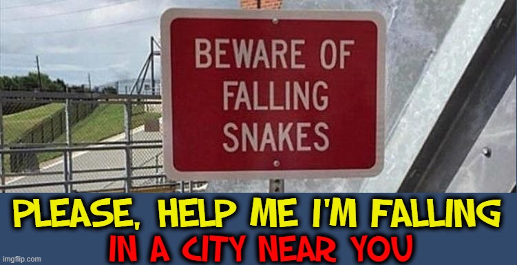 PLEASE, HELP ME I'M FALLING IN A CITY NEAR YOU | made w/ Imgflip meme maker