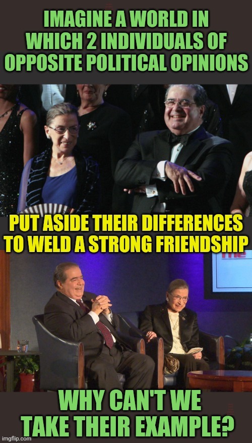 RBG and Scalia: life goals. | Imagine a world in which 2 individuals of opposite political opinions; Put aside their differences to weld a strong friendship. Why can't we take their example? | image tagged in politics,give peace a chance | made w/ Imgflip meme maker