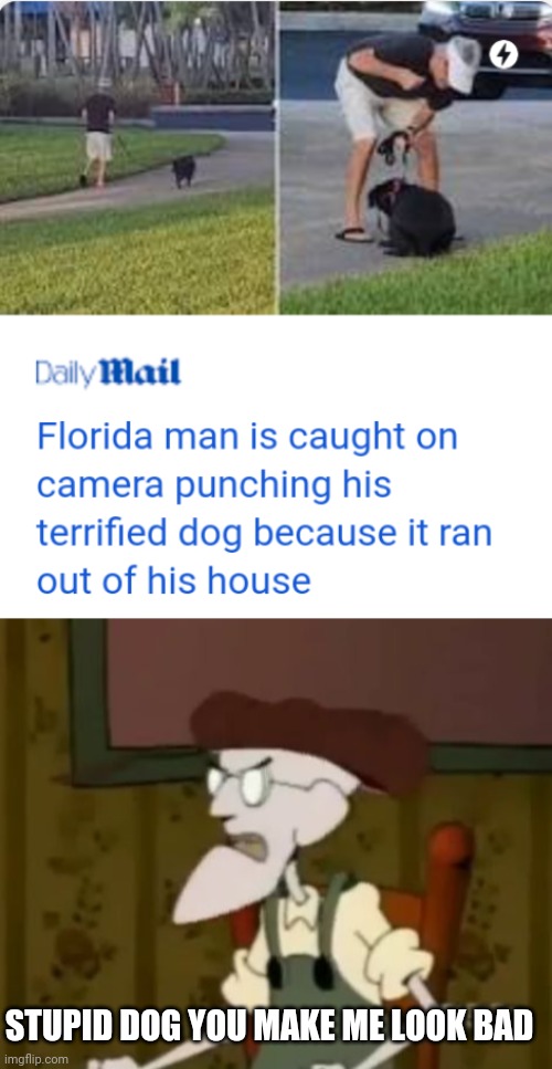 STUPID DOG YOU MAKE ME LOOK BAD | image tagged in memes,funny,courage the cowardly dog,florida man,news,animals | made w/ Imgflip meme maker
