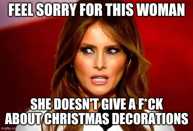 Melania trump  | FEEL SORRY FOR THIS WOMAN SHE DOESN'T GIVE A F*CK ABOUT CHRISTMAS DECORATIONS | image tagged in melania trump | made w/ Imgflip meme maker