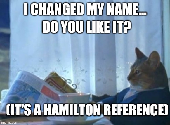 I changed my name.... | I CHANGED MY NAME... DO YOU LIKE IT? (IT'S A HAMILTON REFERENCE) | image tagged in memes,i should buy a boat cat | made w/ Imgflip meme maker