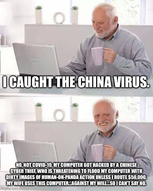 Did the China Virus come from a panda? | I CAUGHT THE CHINA VIRUS. NO, NOT COVID-19. MY COMPUTER GOT HACKED BY A CHINESE CYBER THIEF, WHO IS THREATENING TO FLOOD MY COMPUTER WITH DIRTY IMAGES OF HUMAN-ON-PANDA ACTION UNLESS I ROUTE $50,000. MY WIFE USES THIS COMPUTER...AGAINST MY WILL...SO I CAN’T SAY NO. | image tagged in memes,hide the pain harold,china,panda,bad joke,computer | made w/ Imgflip meme maker