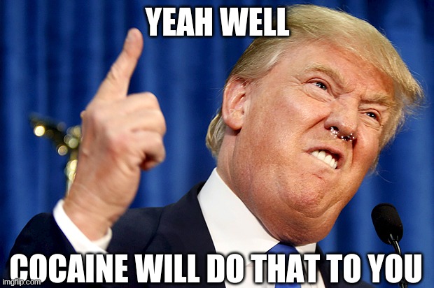 Donald Trump | YEAH WELL COCAINE WILL DO THAT TO YOU | image tagged in donald trump | made w/ Imgflip meme maker
