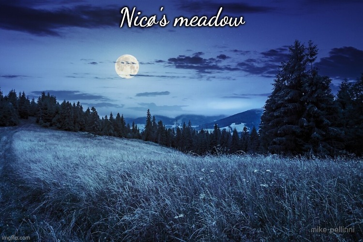 Meadow | Nicø's meadow | image tagged in meadow | made w/ Imgflip meme maker