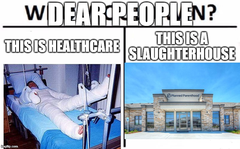 True Healthcare Is On The Left | DEAR PEOPLE; THIS IS HEALTHCARE; THIS IS A SLAUGHTERHOUSE | image tagged in memes,who would win,slaughterhouse,hospital,abortion,planned parenthood | made w/ Imgflip meme maker