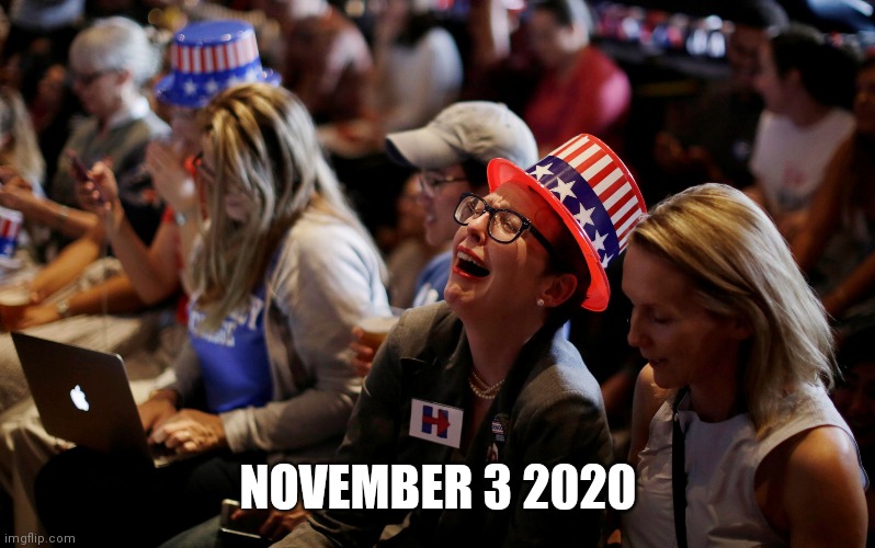 It's Gonna Be Fun On A Bun | NOVEMBER 3 2020 | image tagged in crying democrats,conservatives,democrats,drstrangmeme | made w/ Imgflip meme maker