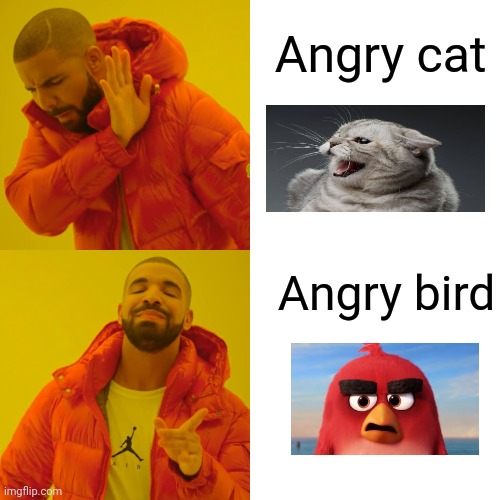 Drake Hotline Bling Meme | Angry cat Angry bird | image tagged in memes,drake hotline bling | made w/ Imgflip meme maker