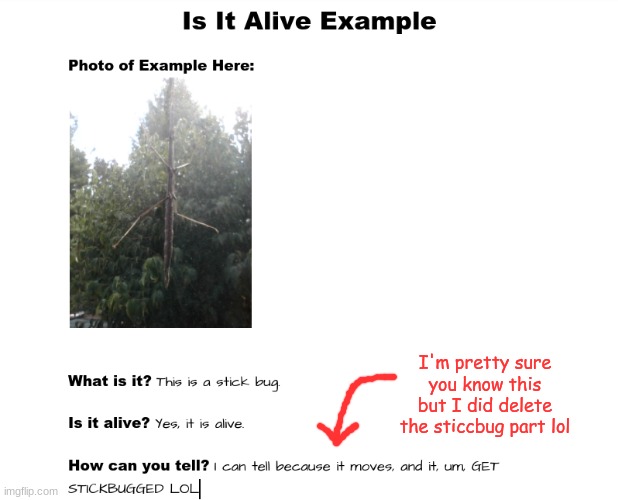 I'm pretty sure you know this but I did delete the sticcbug part lol | made w/ Imgflip meme maker