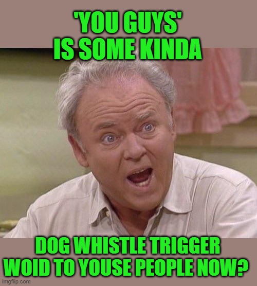 Archie Bunker | 'YOU GUYS' IS SOME KINDA DOG WHISTLE TRIGGER WOID TO YOUSE PEOPLE NOW? | image tagged in archie bunker | made w/ Imgflip meme maker