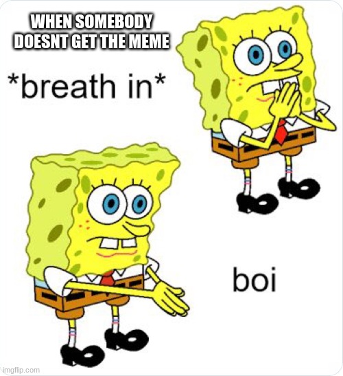 Boi | WHEN SOMEBODY DOESNT GET THE MEME | image tagged in boi spongebob | made w/ Imgflip meme maker