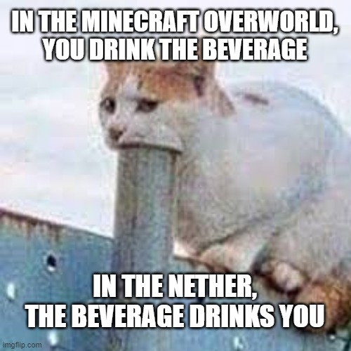 Minecraft Logic | IN THE MINECRAFT OVERWORLD, YOU DRINK THE BEVERAGE; IN THE NETHER, THE BEVERAGE DRINKS YOU | image tagged in minecraft | made w/ Imgflip meme maker